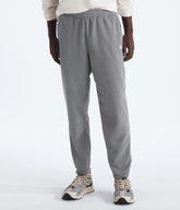 Men’s Glacier Fleece Pants - TNF Mid Grey Heather