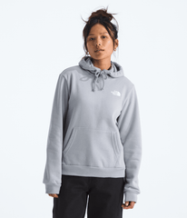 Women’s Evolution Box NSE Fill Light Hoodie—Graphic - Blue Flax