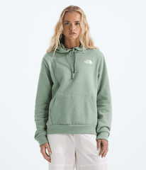 Women’s Evolution Box NSE Fill Hoodie—Graphic - Slate Moss