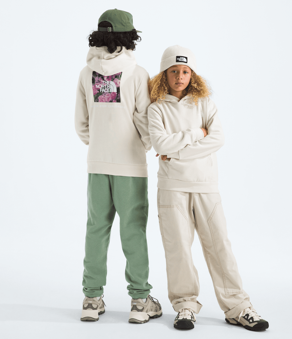 Boys’ & Girls’ Evolution Box NSE Pullover Hoodie—Graphic - White Dune