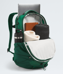 Borealis Backpack - Evergreen/Hunter Green
