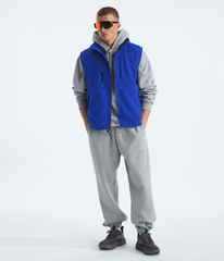 Men’s Retro Denali DTM Vest - TNF Blue