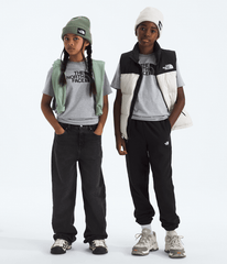 Boys’ & Girls’ Evolution Half Dome Short-Sleeve Tee - TNF Pale Grey Heather