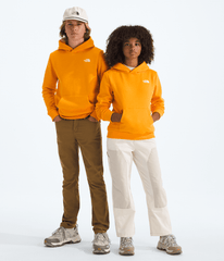 Boys’ & Girls’ Evolution Simple Dome Pullover Hoodie - Summit Gold