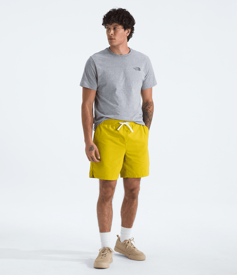 Men's Short Sleeve Core Celebration Box NSE Tee - TNF Pale Grey Heather