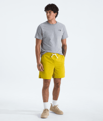 Men's Short Sleeve Core Celebration Box NSE Tee - TNF Pale Grey Heather