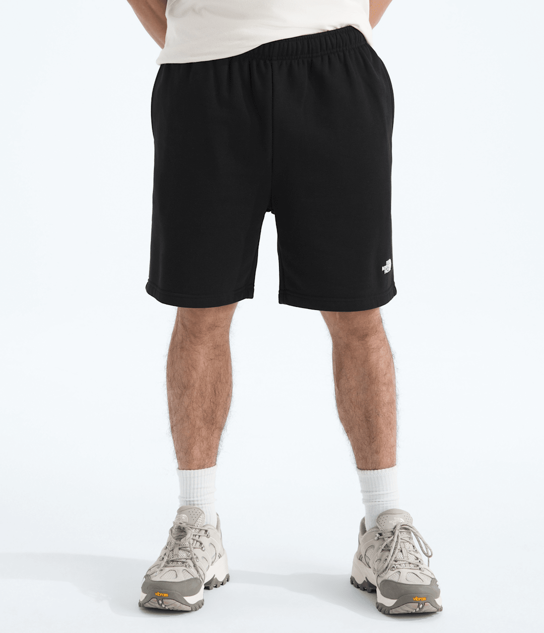 Men’s Evolution Simple Dome Regular Shorts - TNF Black