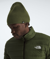 TNF™ Fisherman Beanie - Woodland Green