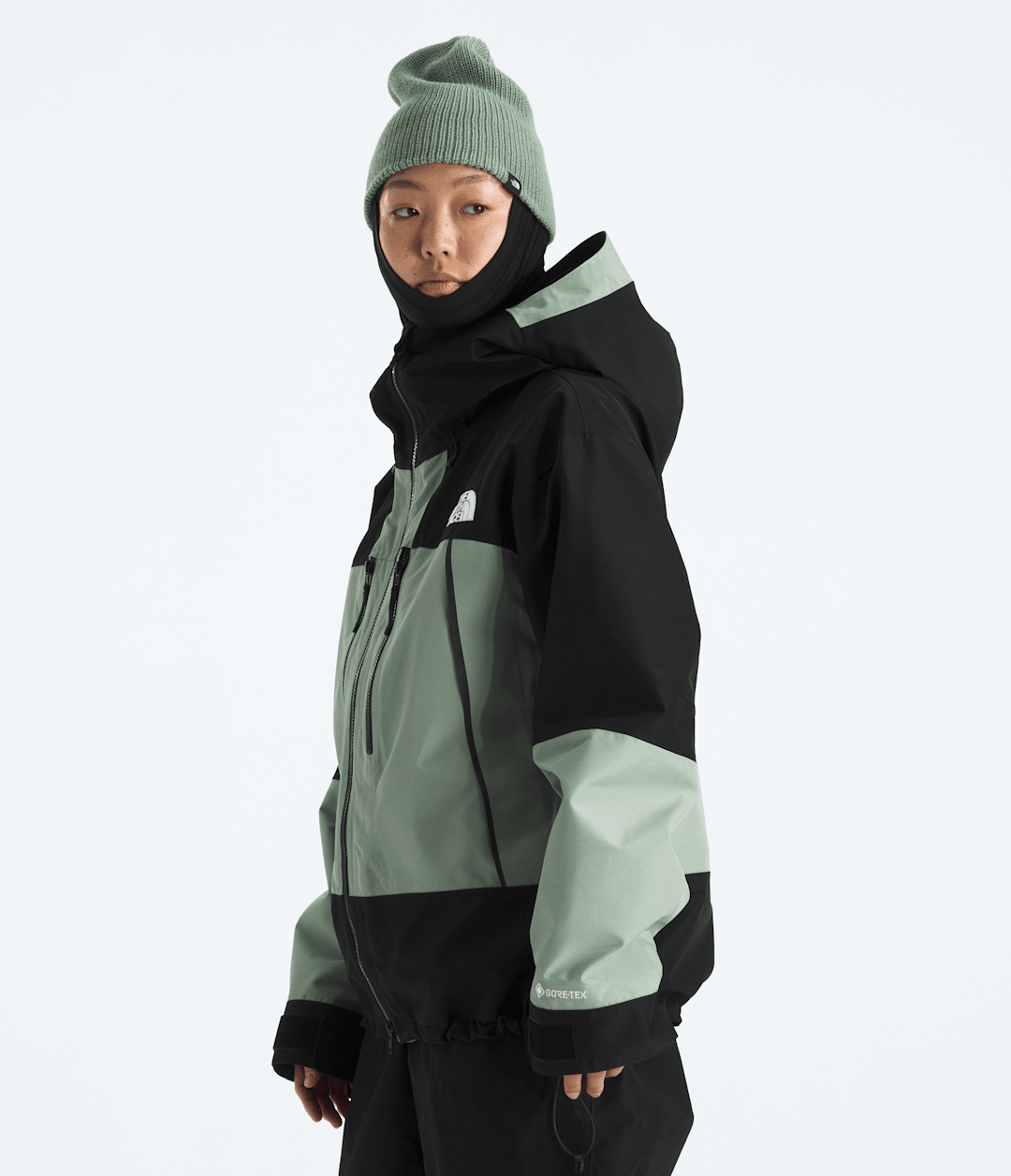 Women’s GORE-TEX® Hex Jacket - Slate Moss/TNF Black