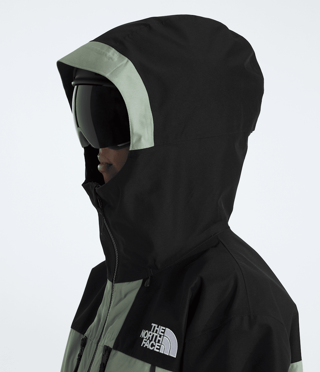 Women’s GORE-TEX® Hex Jacket - Slate Moss/TNF Black