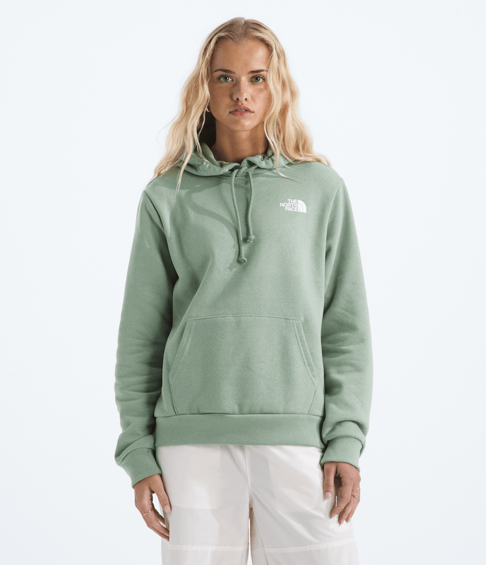 Women’s Evolution Box NSE Fill Hoodie—Graphic - Slate Moss