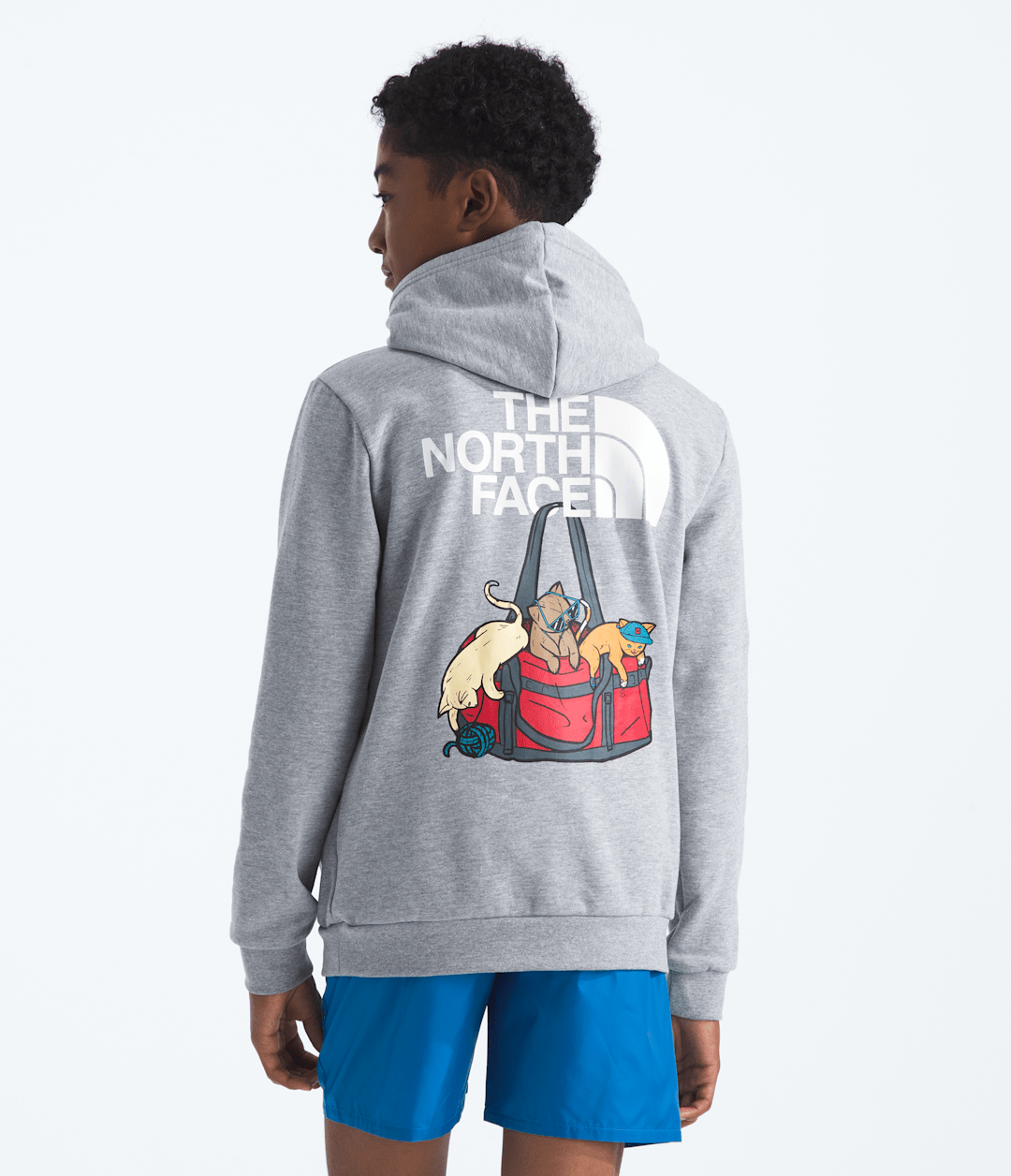 Boys’ & Girls’ Ember Fade Regular Hoodie - TNF Pale Grey Heather