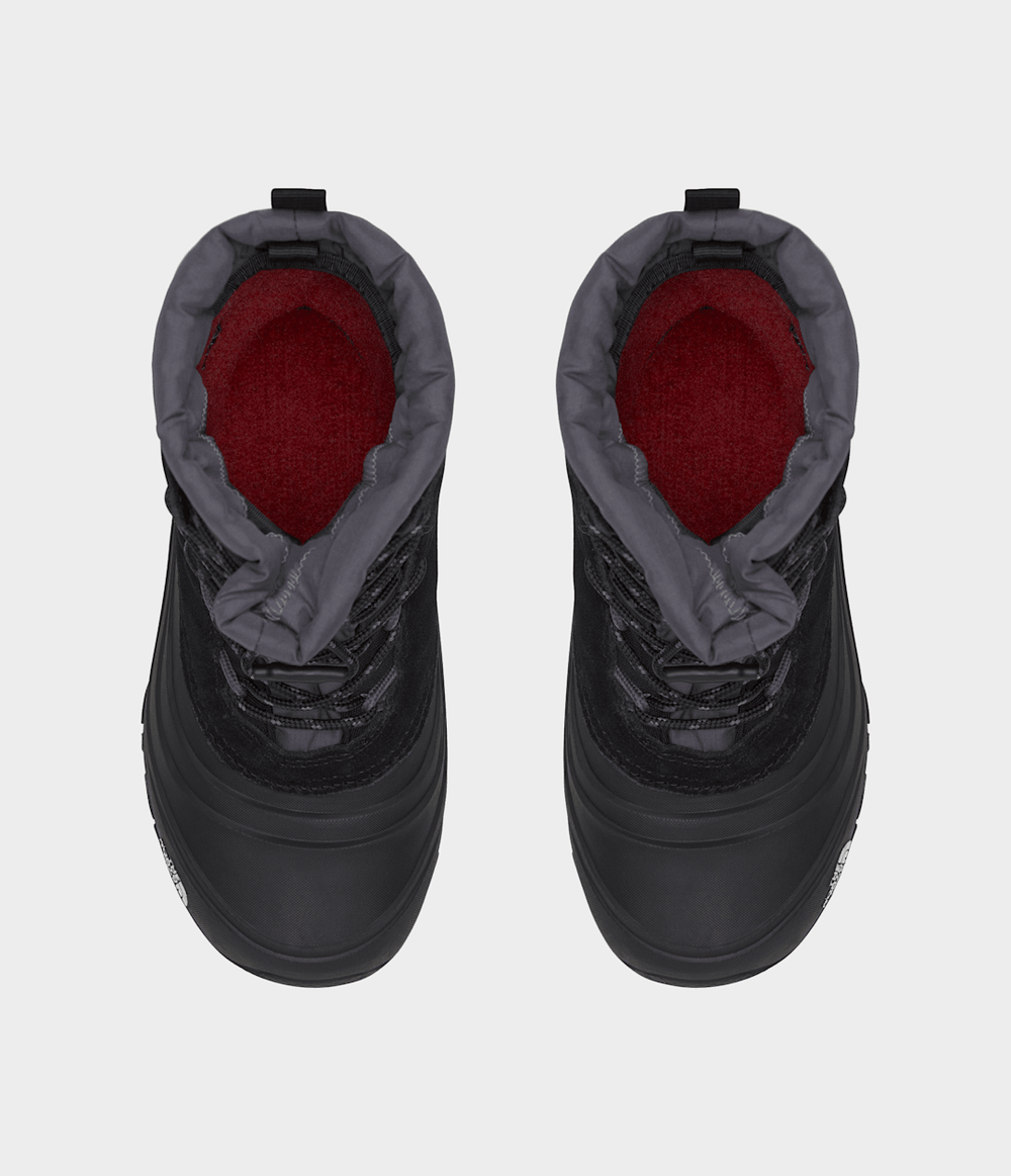 Youth Alpenglow V Waterproof Boots - TNF Black/Vanadis Grey