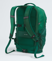 Borealis Backpack - Evergreen/Hunter Green