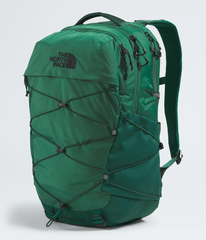 Borealis Backpack - Evergreen/Hunter Green
