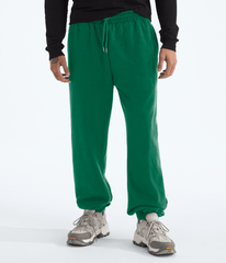 Men’s TNF™ Essential Simple Dome Relaxed Pants - Evergreen/Evergreen