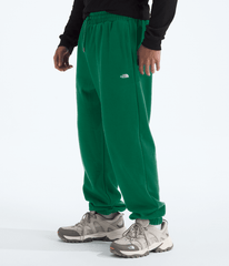 Men’s TNF™ Essential Simple Dome Relaxed Pants - Evergreen/Evergreen