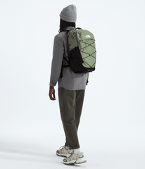 Borealis Backpack - Bark Mist/TNF Black