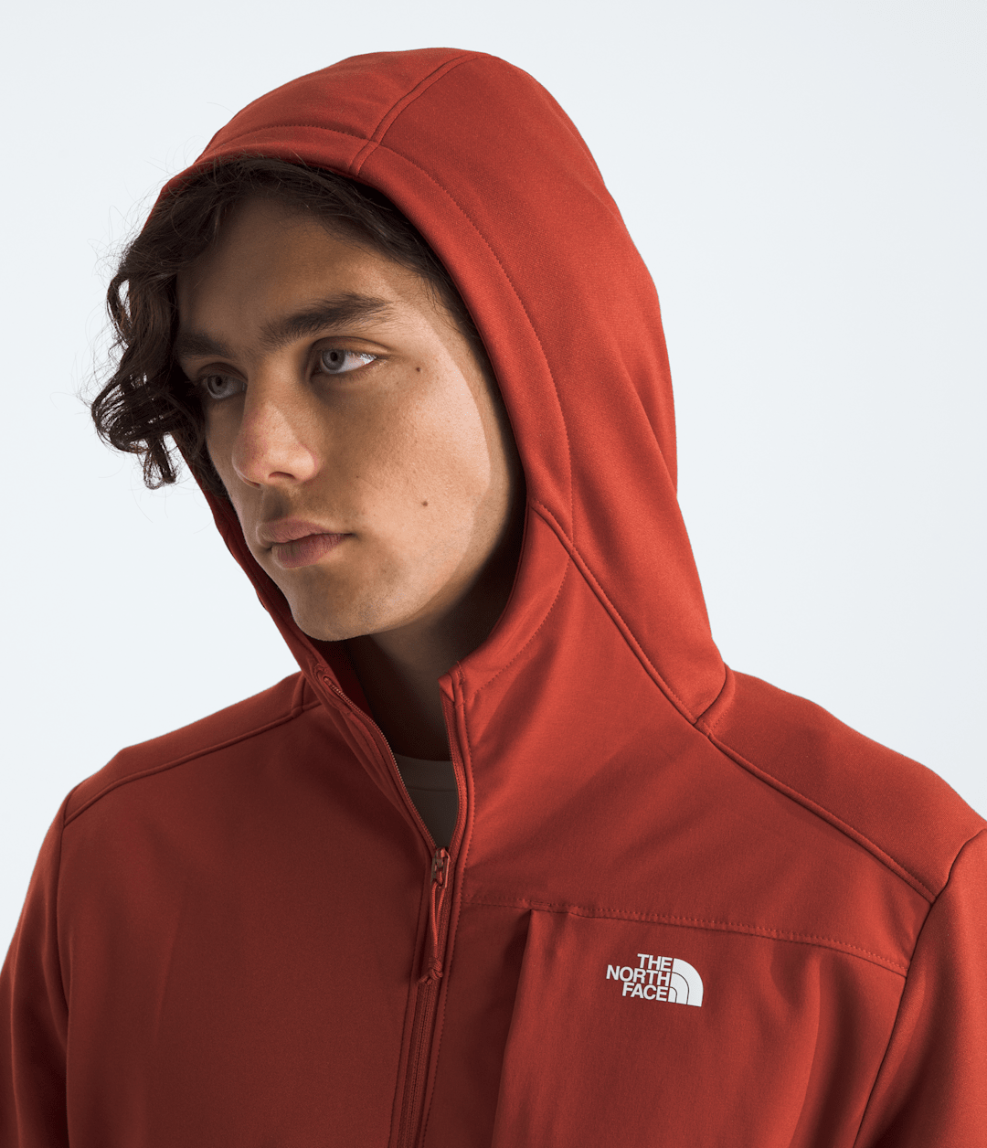 Men’s TNF™ Performance Fleece Full-Zip Hoodie - Iron Clay