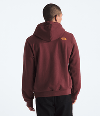 Men’s Evolution TNF™ MTN Hoodie—Graphic - Sumac
