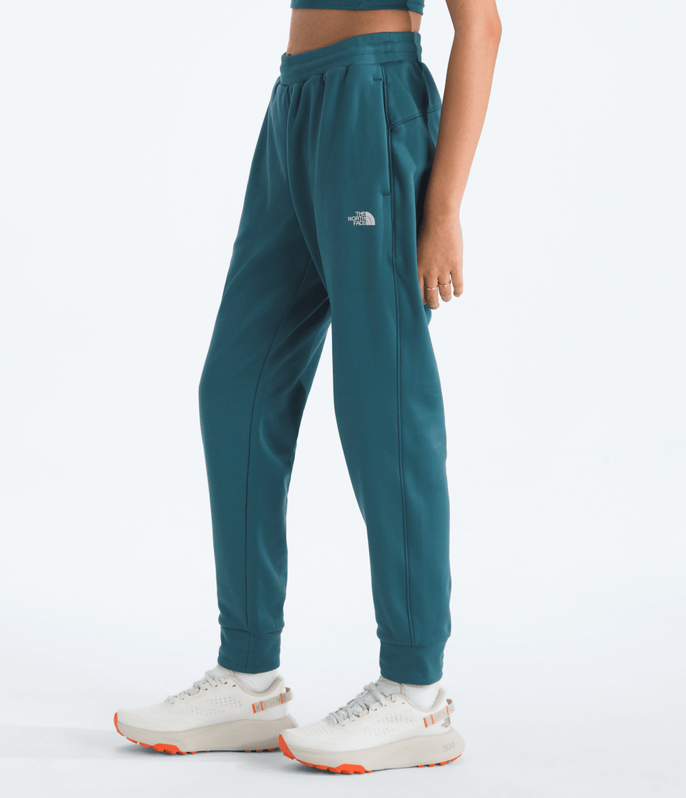 Women’s TNF™ Performance Fleece SW Pants - Space