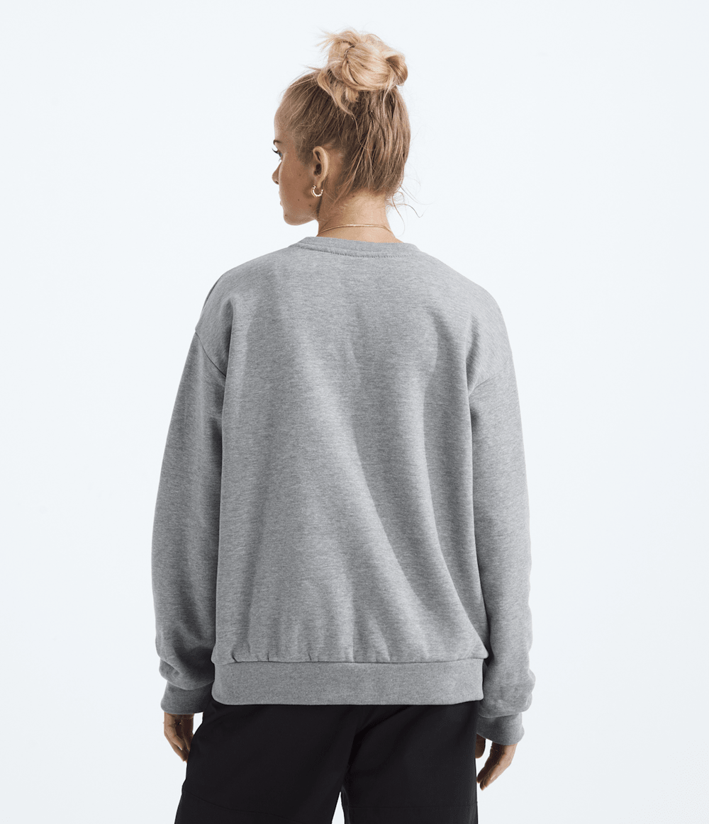 Women’s Evolution Simple Dome Oversized Crew - TNF Pale Grey Heather