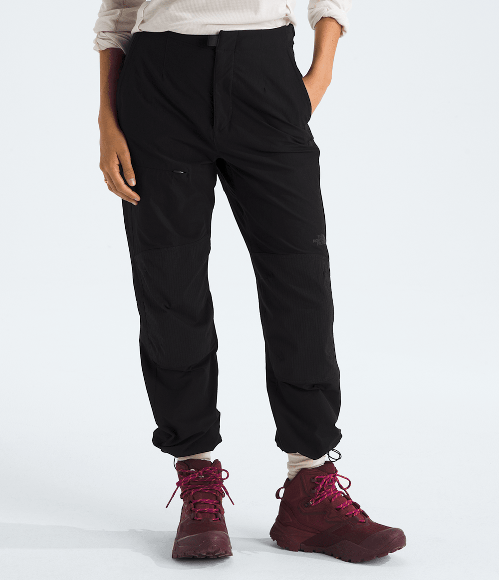 Women’s Basin Pro Pants - TNF Black