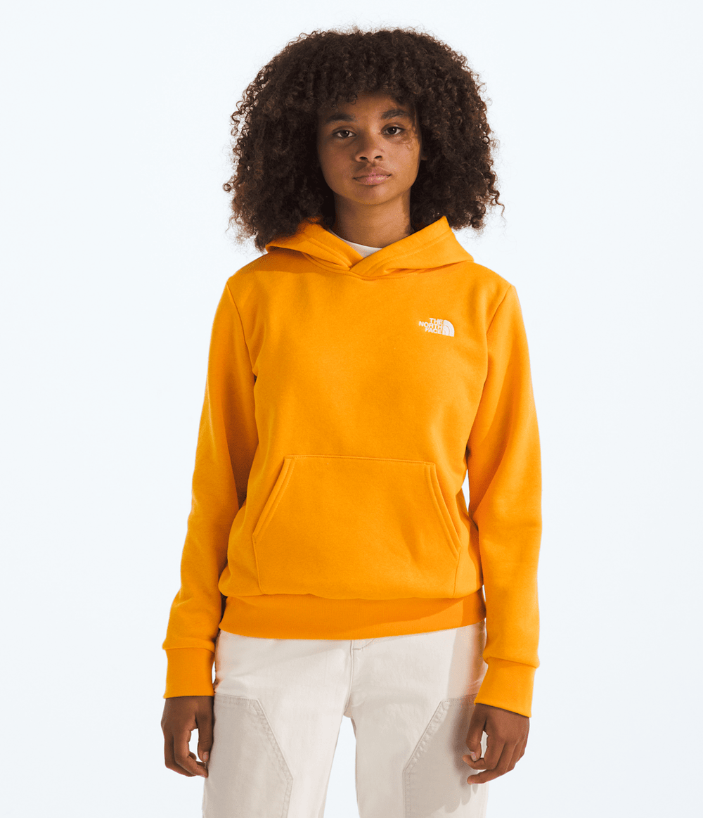 Boys’ & Girls’ Evolution Simple Dome Pullover Hoodie - Summit Gold