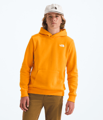 Boys’ & Girls’ Evolution Simple Dome Pullover Hoodie - Summit Gold