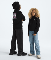 Boys’ & Girls’ Evolution Box NSE Pullover Hoodie—Graphic - TNF Black