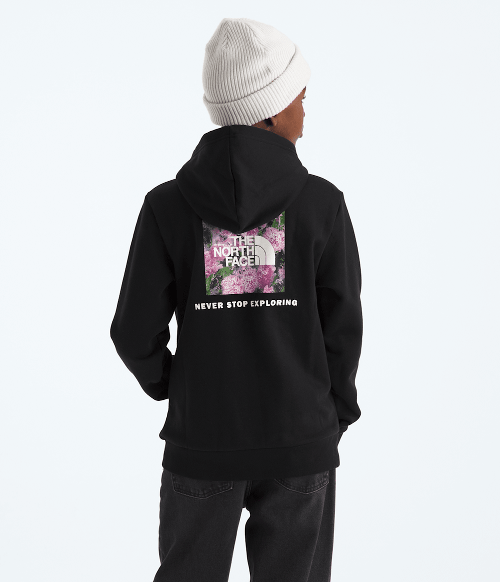 Boys’ & Girls’ Evolution Box NSE Pullover Hoodie—Graphic - TNF Black