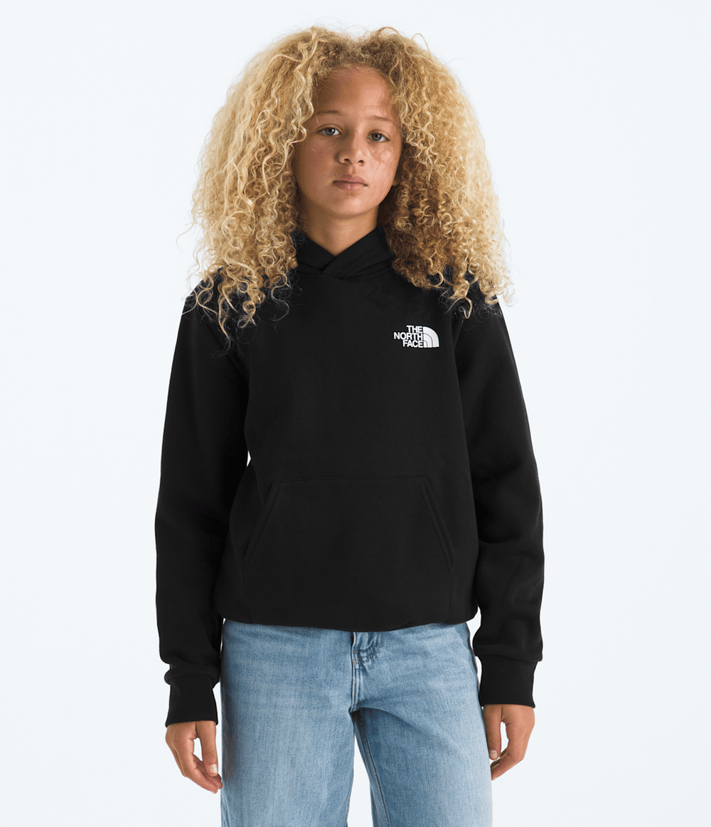 Boys’ & Girls’ Evolution Box NSE Pullover Hoodie—Graphic - TNF Black