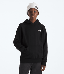 Boys’ & Girls’ Evolution Box NSE Pullover Hoodie—Graphic - TNF Black