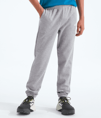 Boys’ & Girls’ Evolution Simple Dome Pants - TNF Pale Grey Heather
