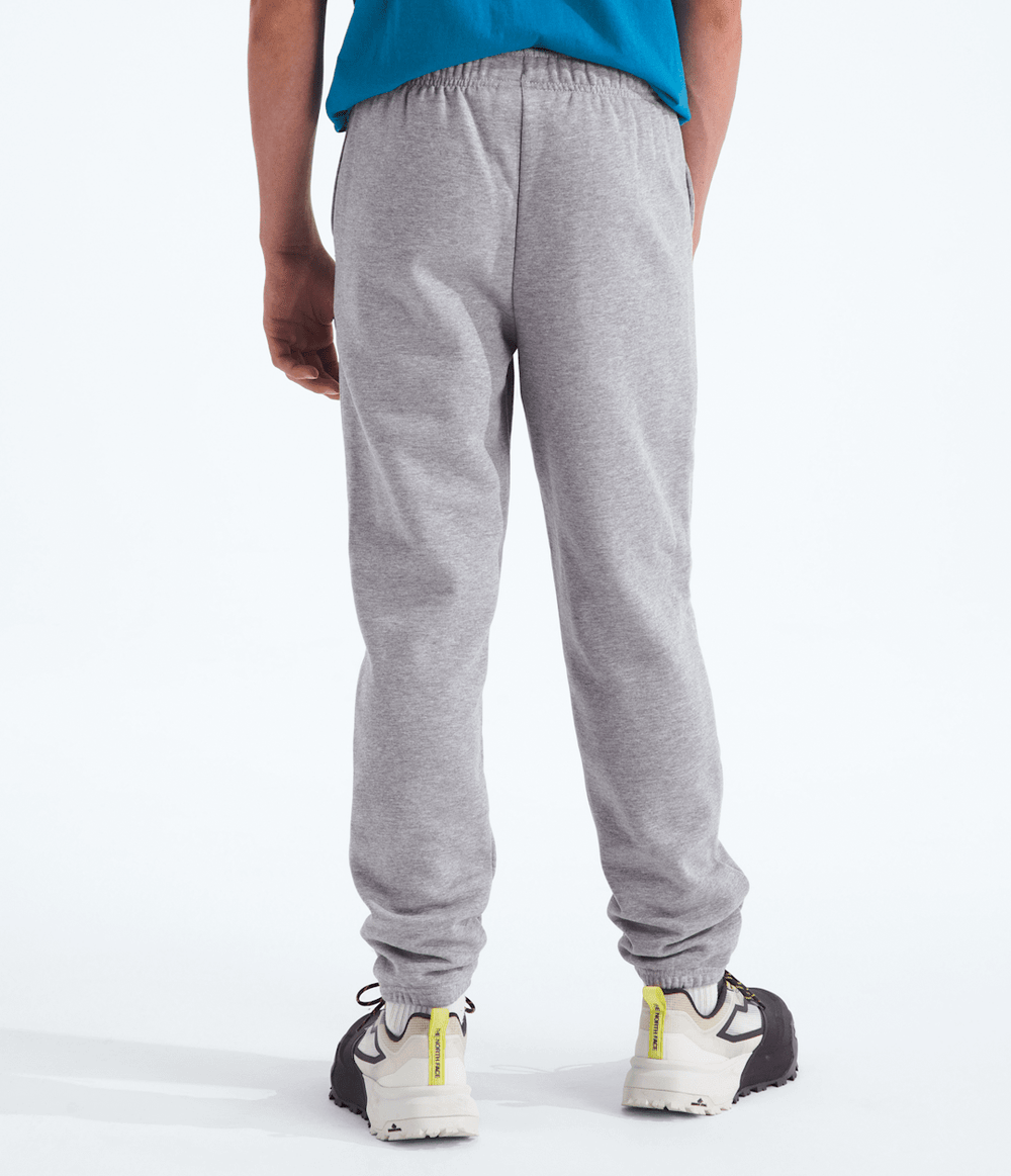 Boys’ & Girls’ Evolution Simple Dome Pants - TNF Pale Grey Heather