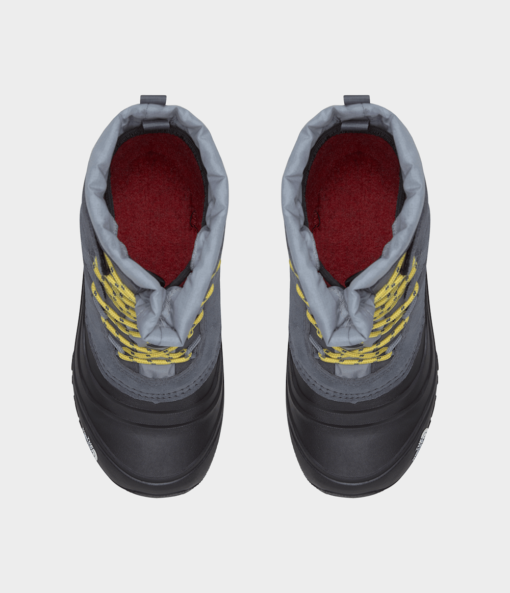 Youth Alpenglow V Waterproof Boots - Vanadis Grey/Meld Grey