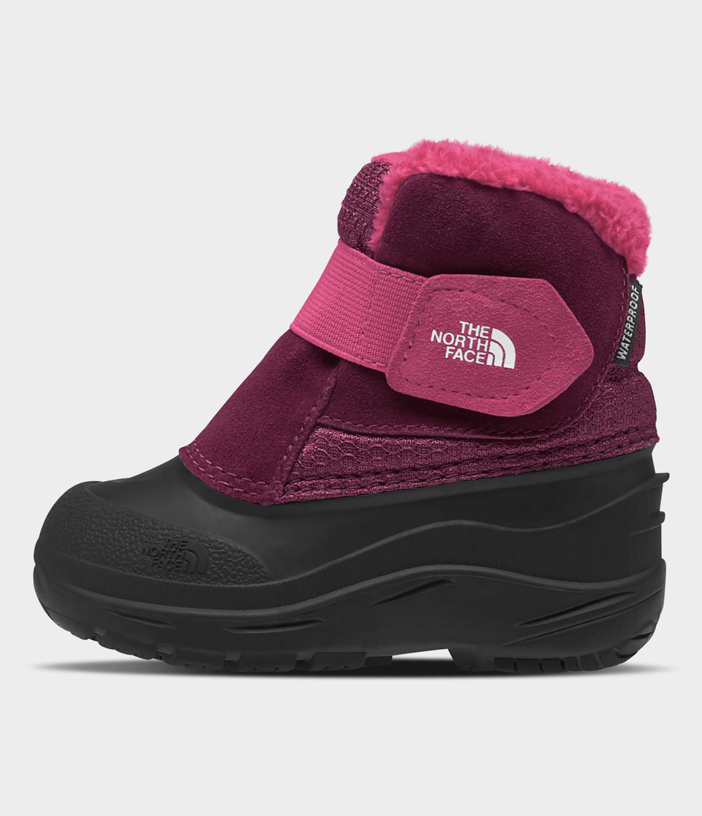 Toddler Alpenglow II Boots - Boysenberry/TNF Black