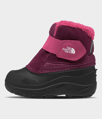 Toddler Alpenglow II Boots - Boysenberry/TNF Black