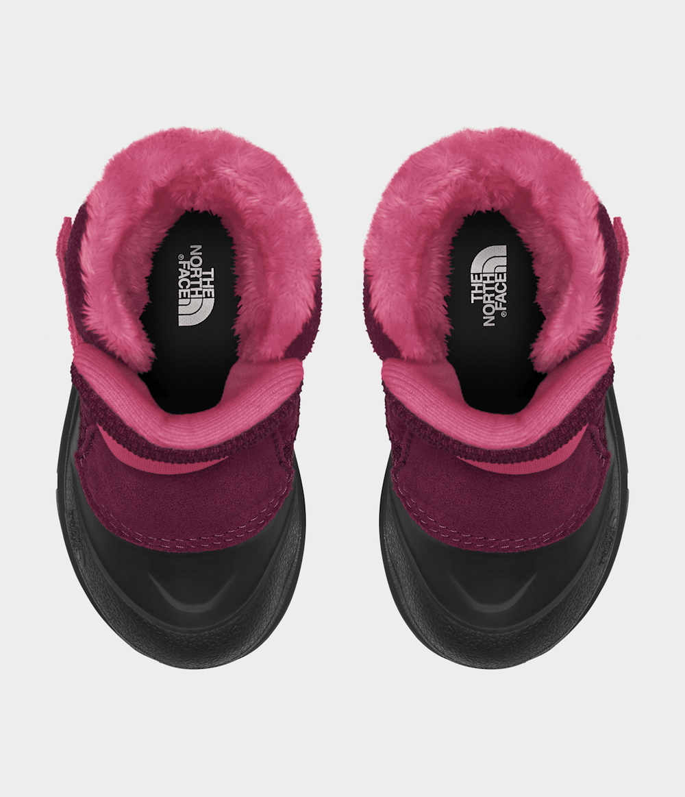 Toddler Alpenglow II Boots - Boysenberry/TNF Black